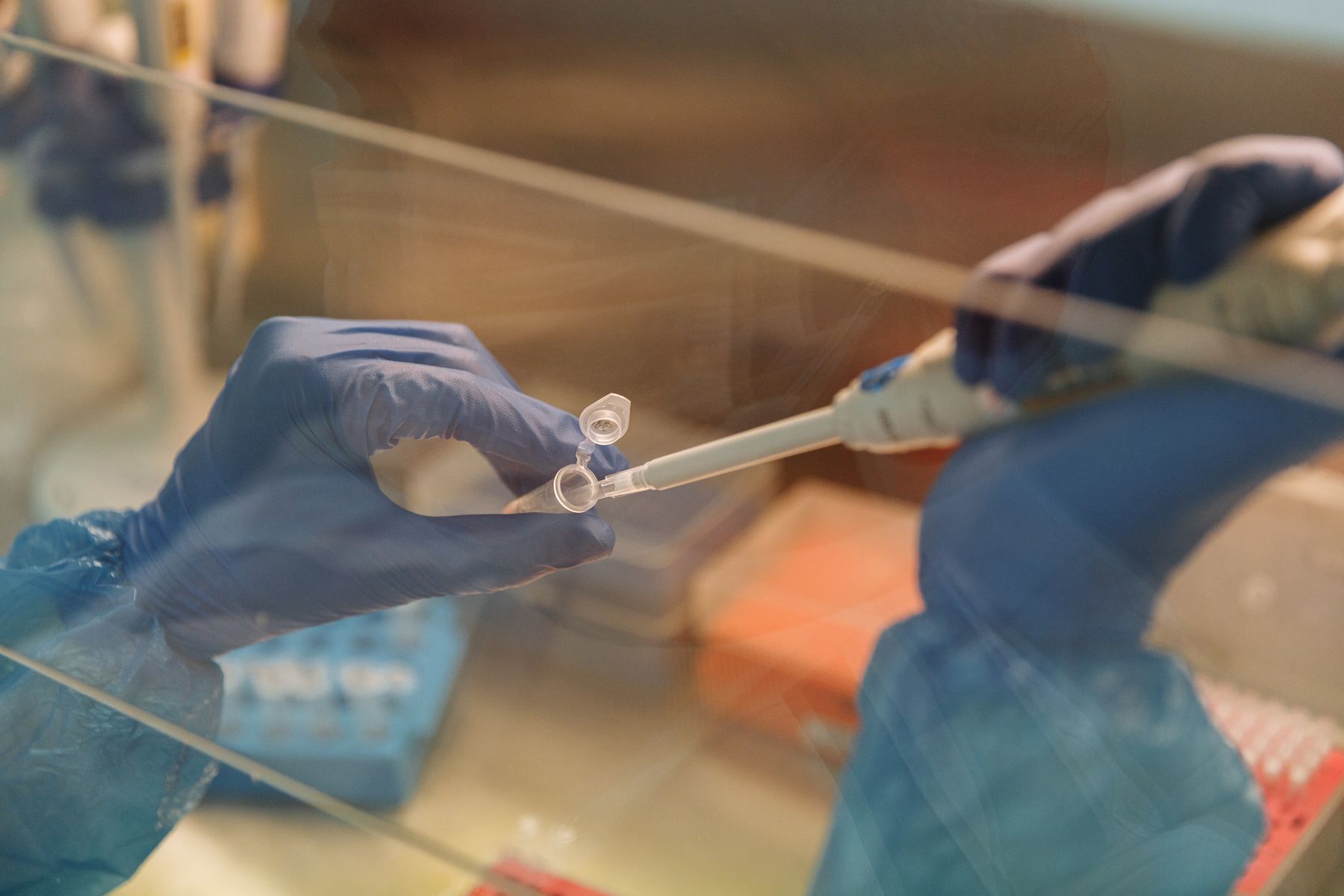 A scientist preparing a sample in the laboratory
